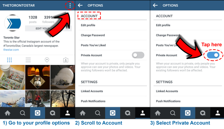 private instagram viewer free