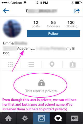 private instagram viewer free